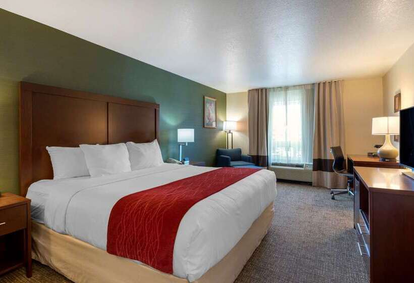 فندق Comfort Inn & Suites Salem