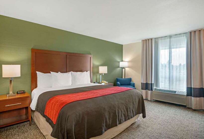 בית מלון כפרי Comfort Inn & Suites Salem