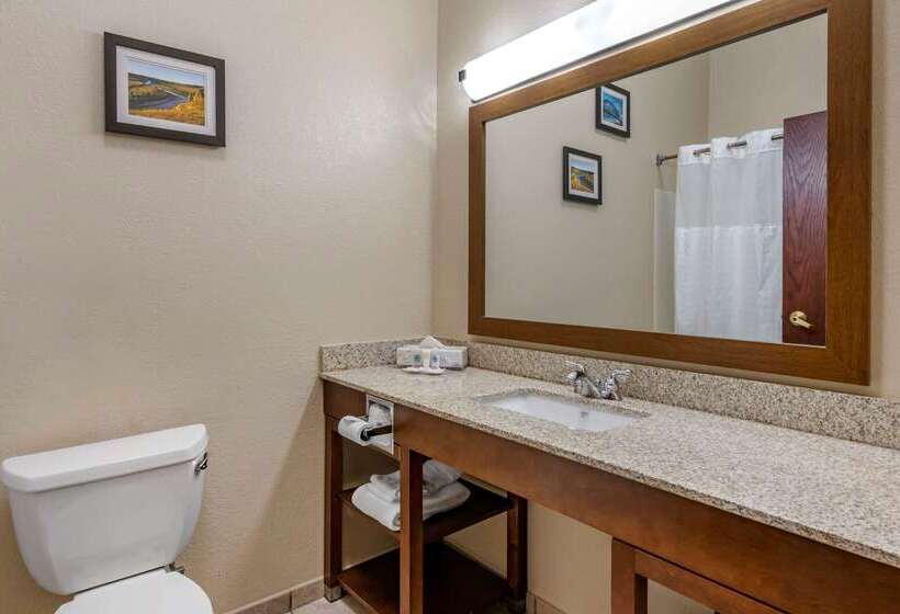 酒店 Comfort Inn & Suites St. Louiso Fallon