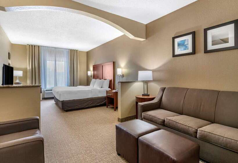 酒店 Comfort Inn & Suites St. Louiso Fallon