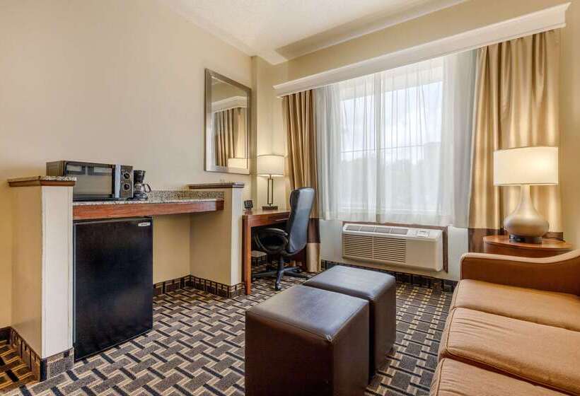 فندق Comfort Inn Summerville  Charleston