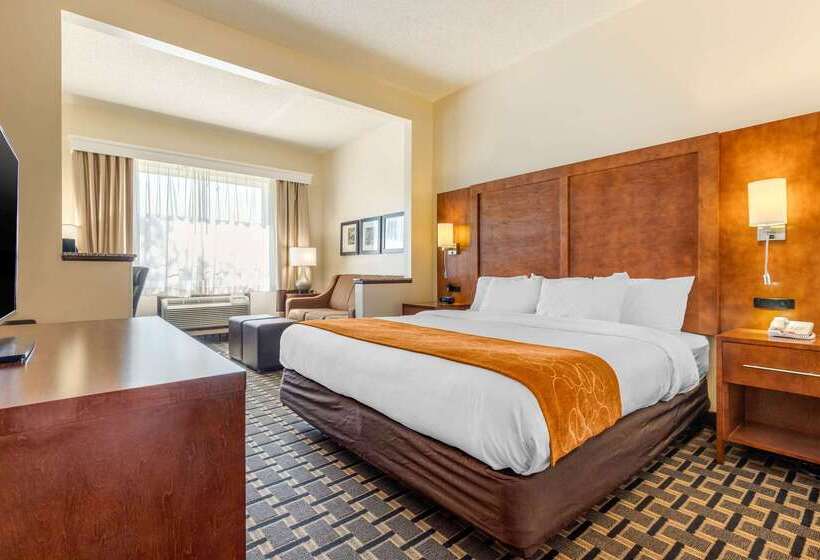 فندق Comfort Inn Summerville  Charleston