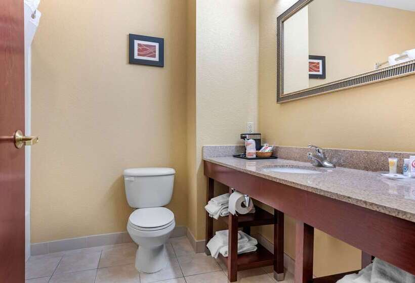 ホテル Comfort Suites