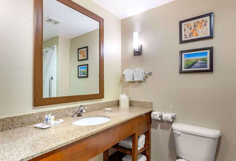 בית מלון כפרי Comfort Suites Glendale   State Farm Stadium Area