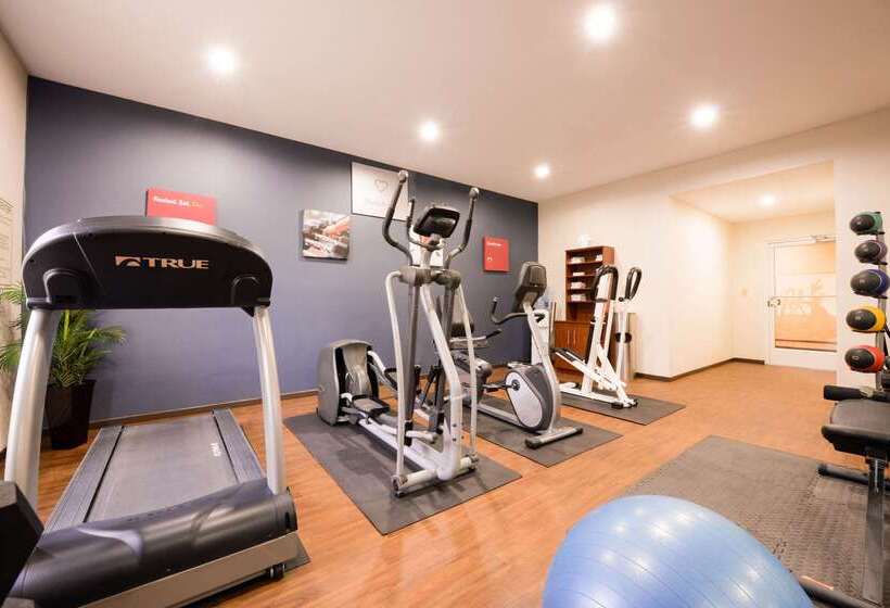 בית מלון כפרי Comfort Suites