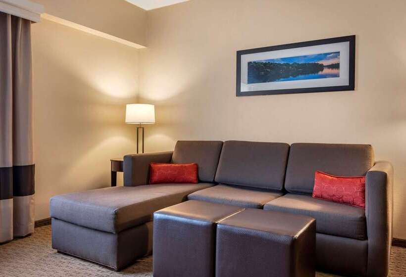 酒店 Comfort Suites Near Penn State