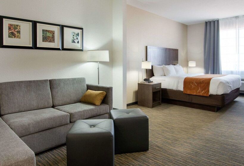בית מלון כפרי Comfort Suites San Angelo Near University