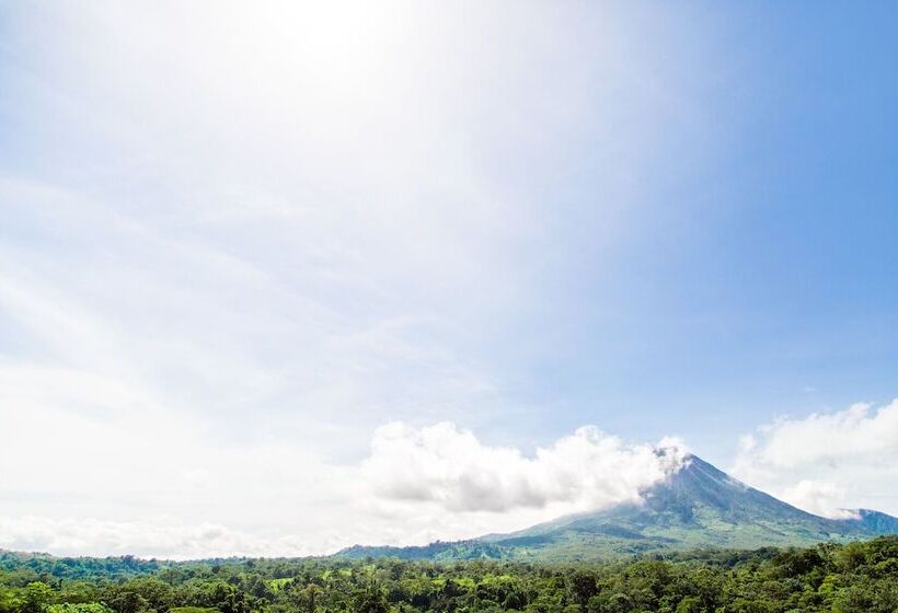 酒店 Jw Marriott Guanacaste Resort & Spa