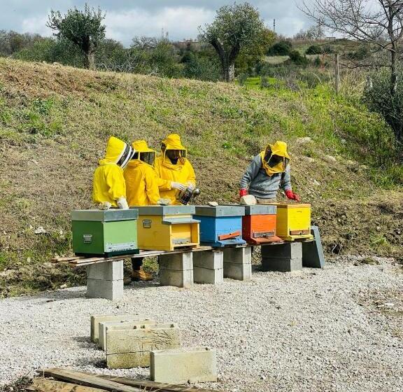 تختخواب و صبحانه Terra Di Vento