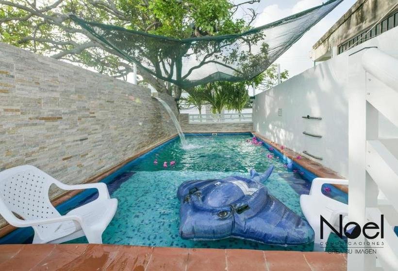 هاستل Posada J&j Forbes   1