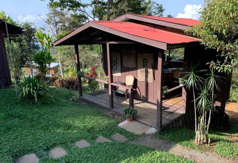 ベッドアンドブレックファースト The Lodge At Reventazon River Mountain Ranch