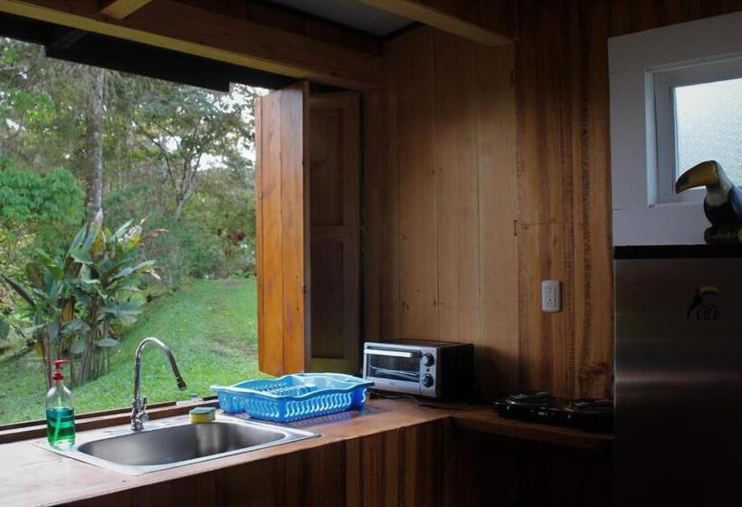 ベッドアンドブレックファースト The Lodge At Reventazon River Mountain Ranch