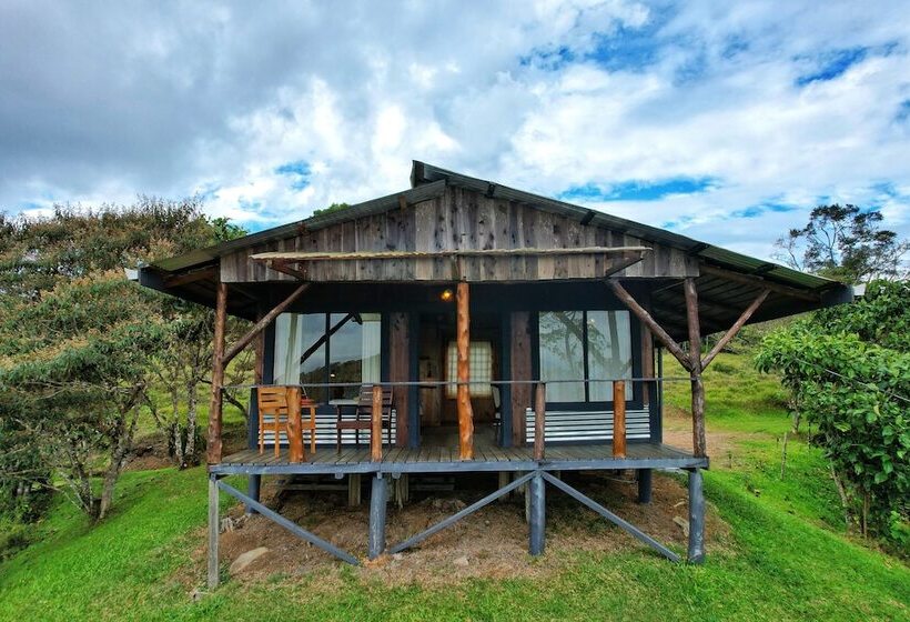 ベッドアンドブレックファースト The Lodge At Reventazon River Mountain Ranch