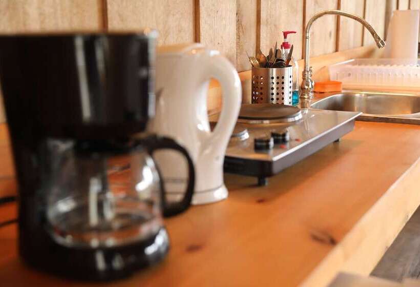 ベッドアンドブレックファースト The Lodge At Reventazon River Mountain Ranch