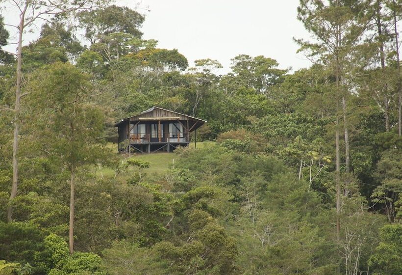 ベッドアンドブレックファースト The Lodge At Reventazon River Mountain Ranch