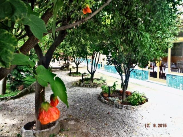 فندق Villa Flora