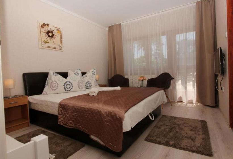 פנסיון Ariel Apartmanok