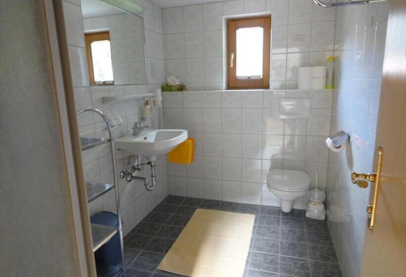 بنسيون Haus Gfall