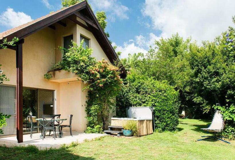 渡假胜地  Vitrage Holiday Village And Spa