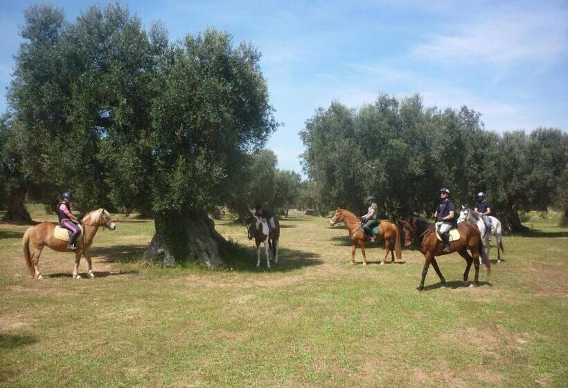 호텔 Masseria Li Campi