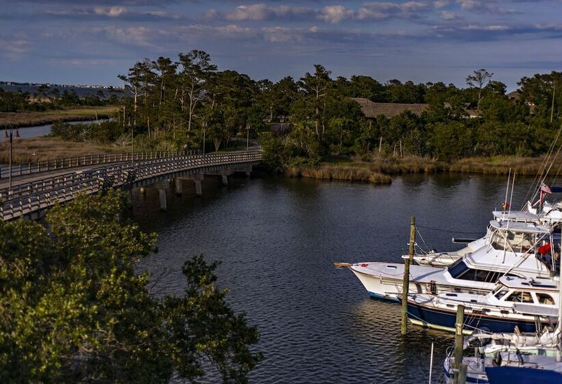 هاستل The Tranquil House Inn