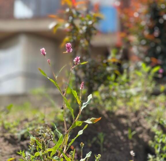 تختخواب و صبحانه Campestre Villa Los Duraznos