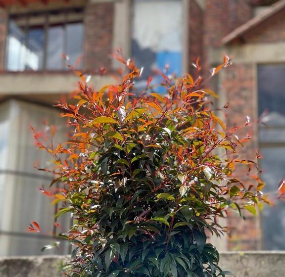 تختخواب و صبحانه Campestre Villa Los Duraznos