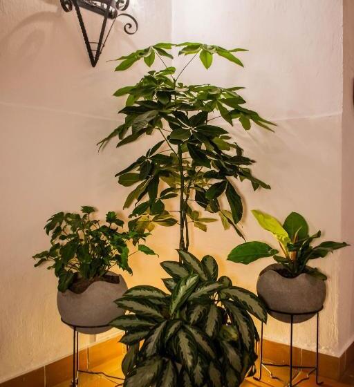 هتل Boutique Casa Grande