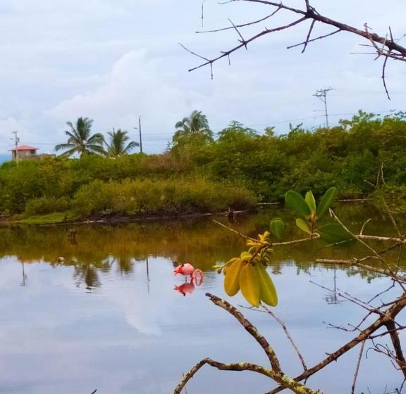 پانسیون Hostal Los Flamencos