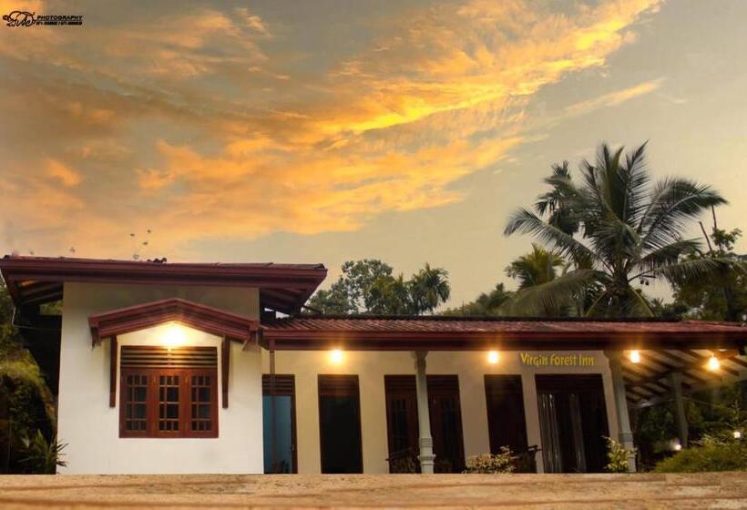 ペンション Virgin Forest Inn