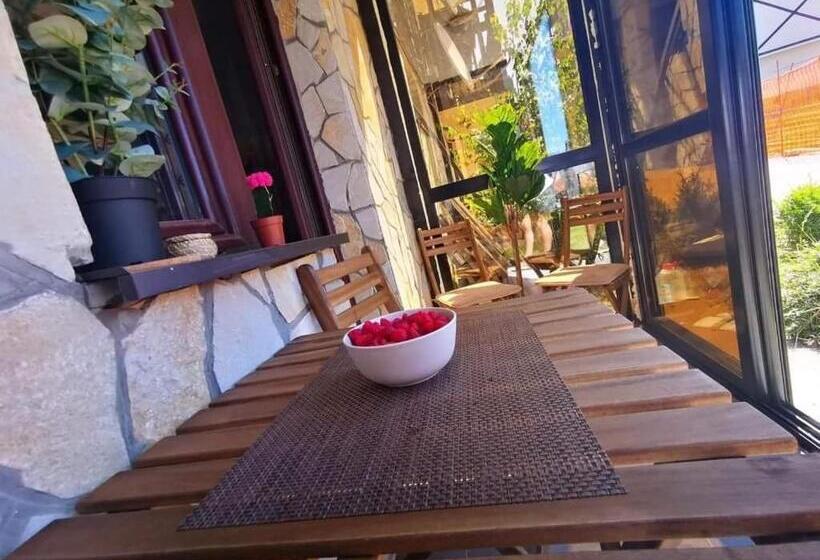 Studio Jolly Kop Jana 2