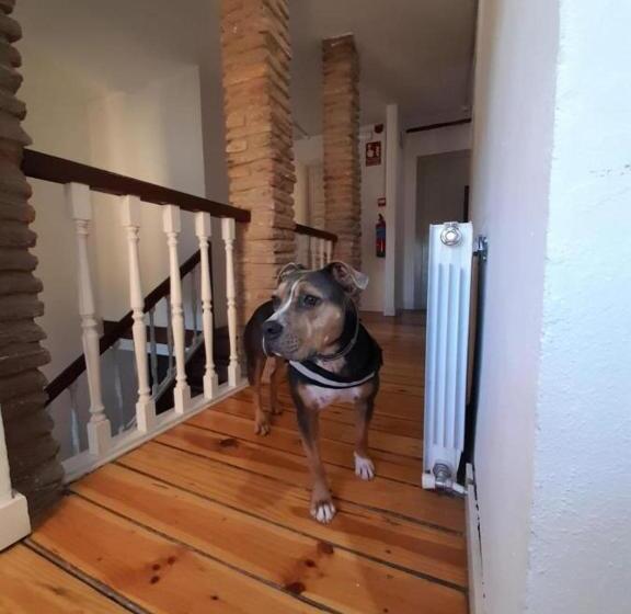 هتل Hostería Señorío De Bizkaia