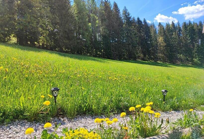 ペンション Villa Bischofsberg   Lärchen Wellness Apartment