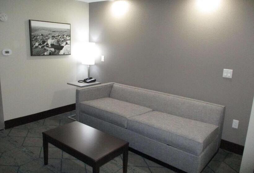 هتل Best Western Plus Mcpherson