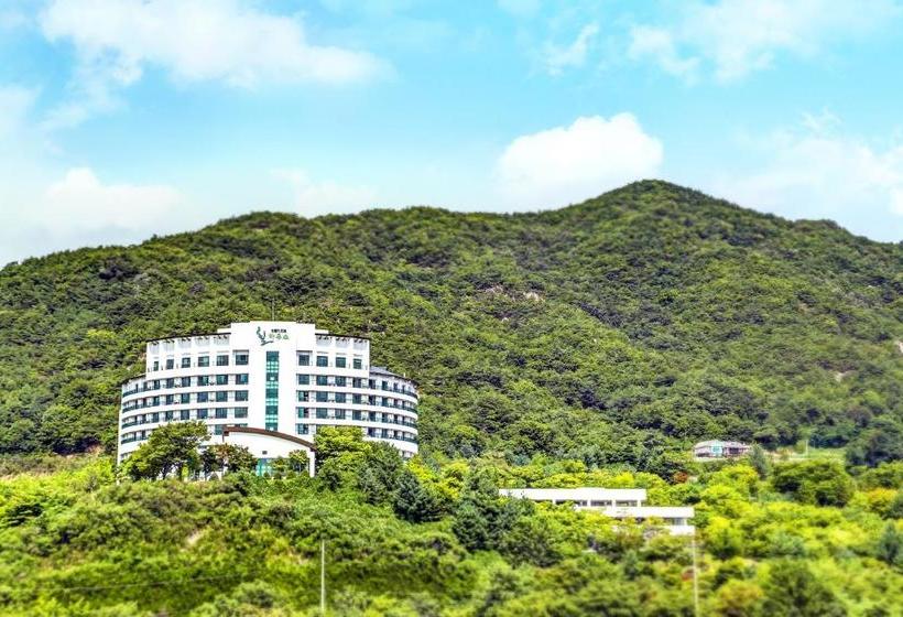 فندق Cheongpung Resort Hill House