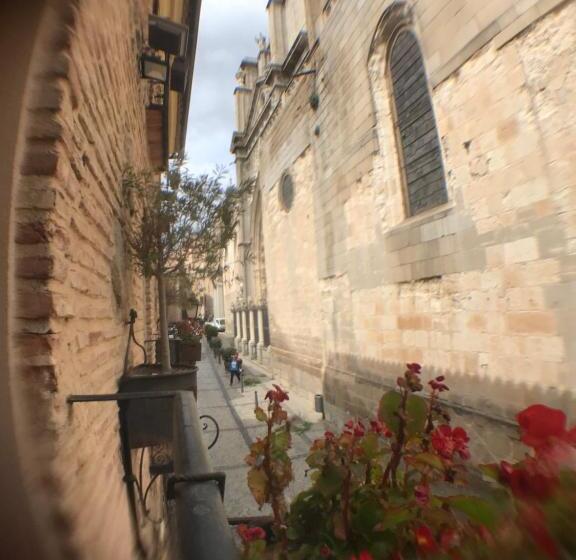 客栈  Hospederia Casa De Cisneros