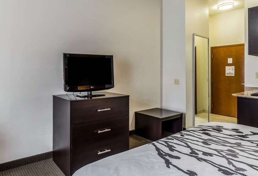 호텔 Sleep Inn & Suites Stafford  Sugarland