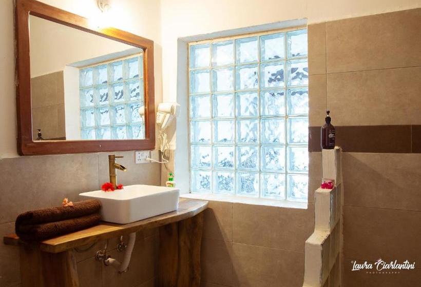 فندق Moonshine Uroa Dikoni Boutique