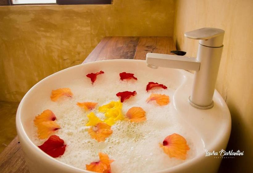 فندق Moonshine Uroa Dikoni Boutique