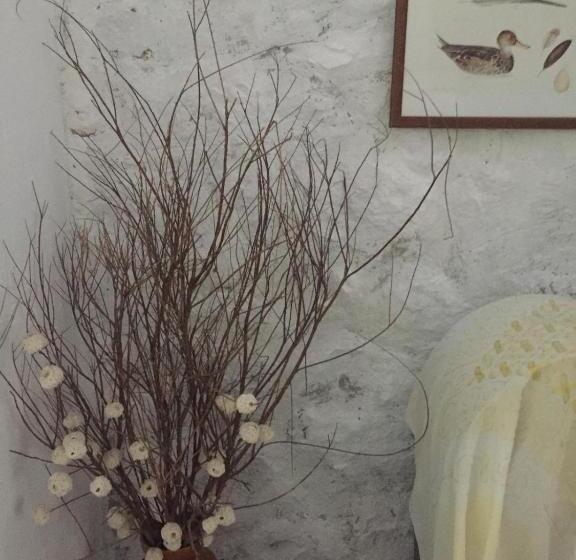پانسیون Dimitri Ada Evi & Restaurant