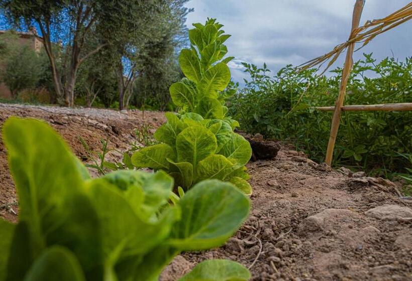 پانسیون Maison D'hôte Amridil