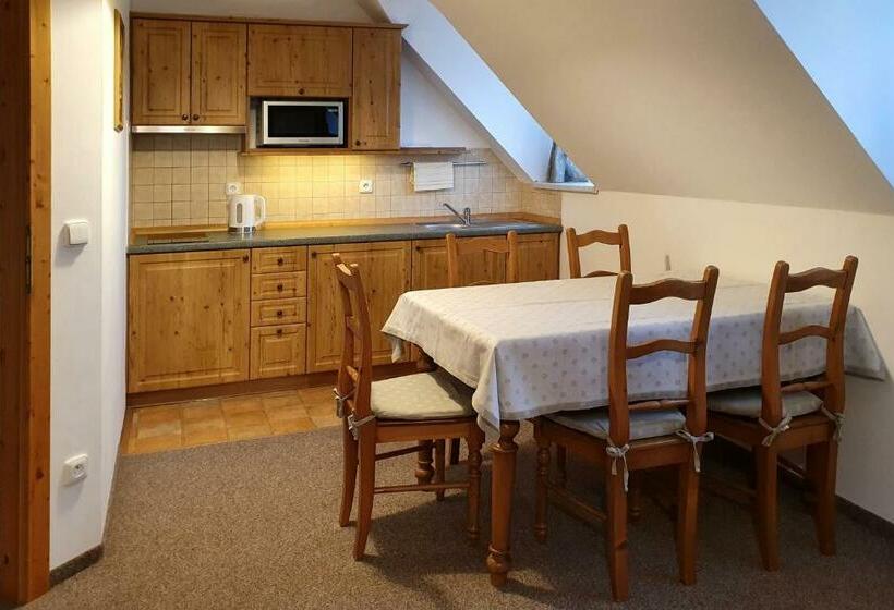 פנסיון Selský Dvůr 2