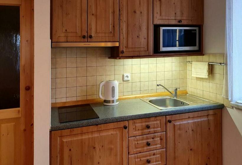 פנסיון Selský Dvůr 2