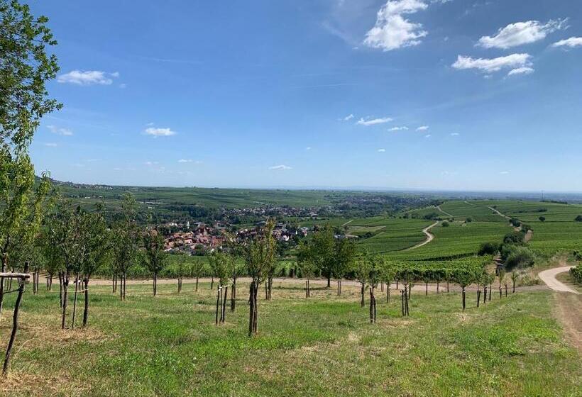 ホテル Schockes Laurentiushof