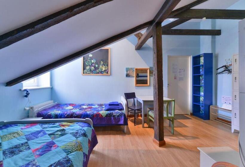 Central Hostel