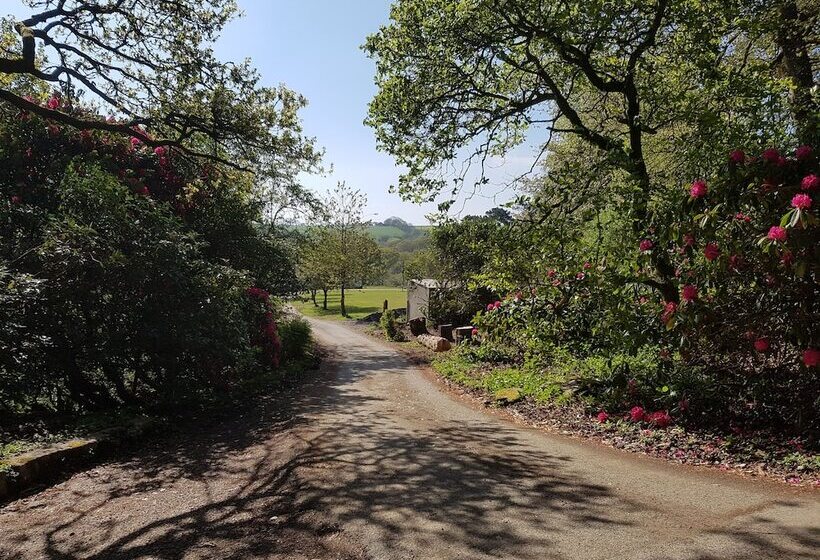 Great Trethew Manor Hotel & Self Catering Lodges