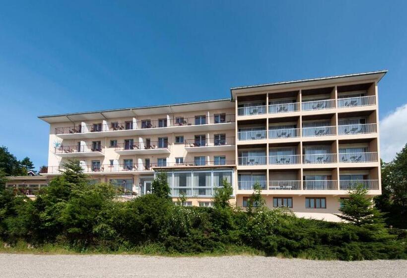 Alexain Hotel Restaurant & Wellness   Colmar Ouest