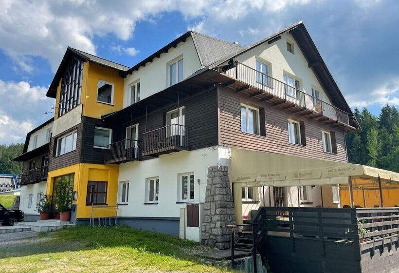 酒店 Harrachov 702