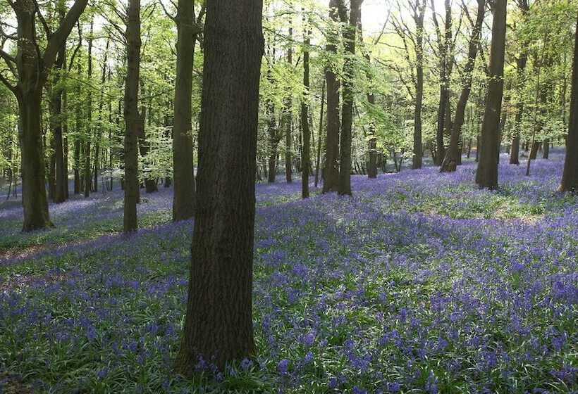 בית מלון כפרי Hostellerie Kemmelberg