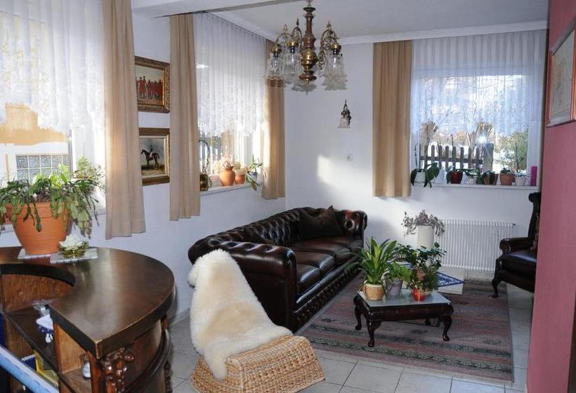 فندق Pension Elisabeth